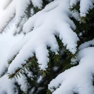 Imagen PNG para descargar